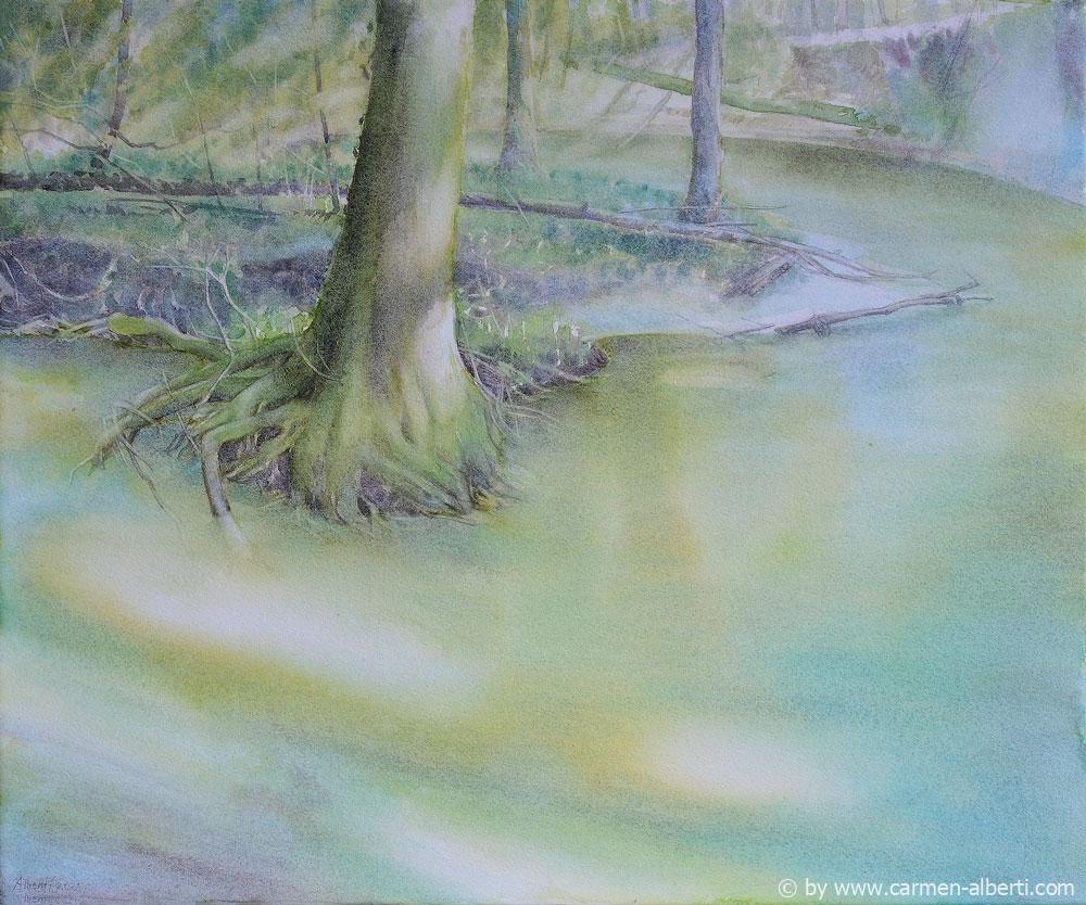 Forest Memories 2